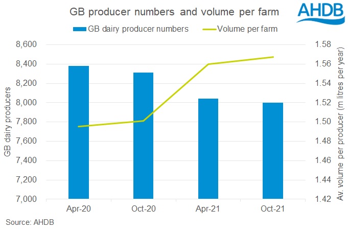 graph showing GB dairy producer numbers and average production